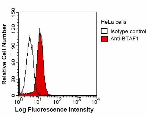 Flow Cytometry - Anti-BTAF1 antibody [BTA3D61] (AB50990)
