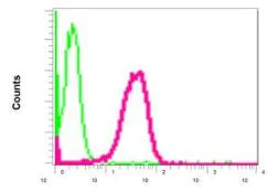 Flow Cytometry (Intracellular) - Anti-BTF antibody [EPR9981] - BSA and Azide free (AB249218)