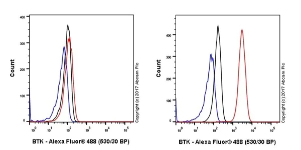 Flow Cytometry (Intracellular) - Anti-BTK antibody [EPR20445] - BSA and Azide free (AB227812)