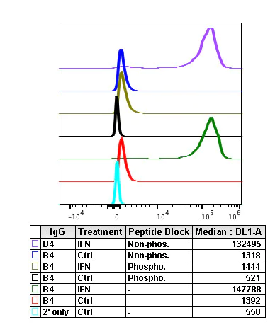 Flow Cytometry - Anti-BTK (phospho Y223) antibody [BtkY223-B4] (AB278680)