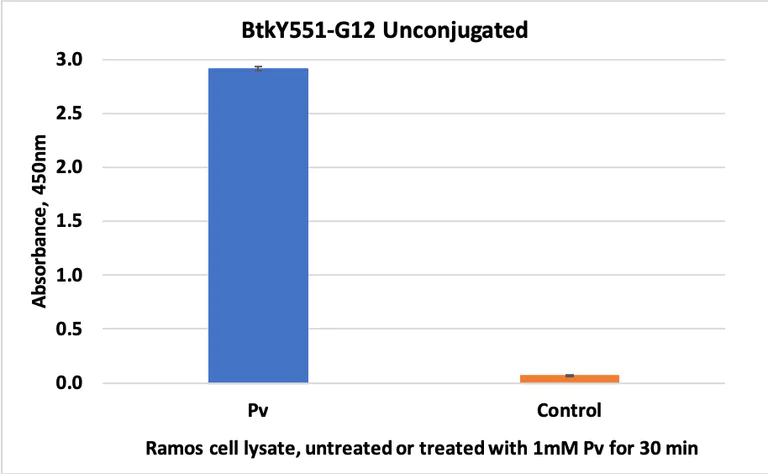 ELISA - Anti-BTK (phospho Y551) antibody [BtkY551-G12] (AB278611)