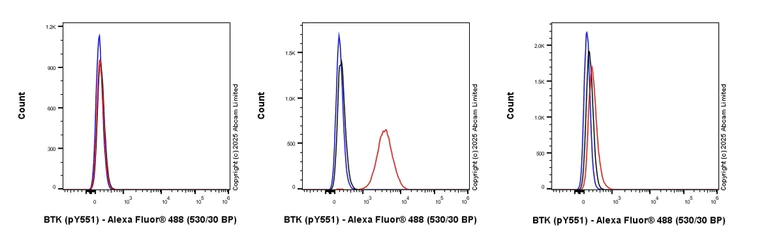 Flow Cytometry (Intracellular) - Anti-BTK (phospho Y551) antibody [EP267Y] - BSA and Azide free (AB247285)