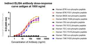 Indirect ELISA - Anti-BTK (phospho Y551) antibody [EP267Y] - BSA and Azide free (AB247285), expandable thumbnail