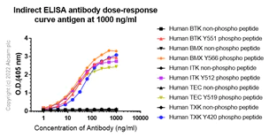 Indirect ELISA - Anti-BTK (phospho Y551) antibody [EP267Y] - BSA and Azide free (AB247285)