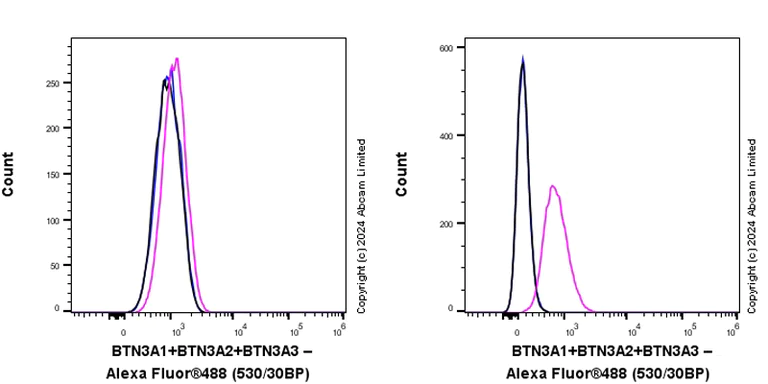 Flow Cytometry - Anti-BTN3A1 + BTN3A2 + BTN3A3 antibody [EPR28070-58] (AB319101)