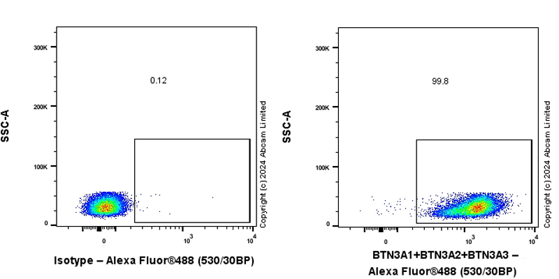 Flow Cytometry - Anti-BTN3A1 + BTN3A2 + BTN3A3 antibody [EPR28070-58] (AB319101)