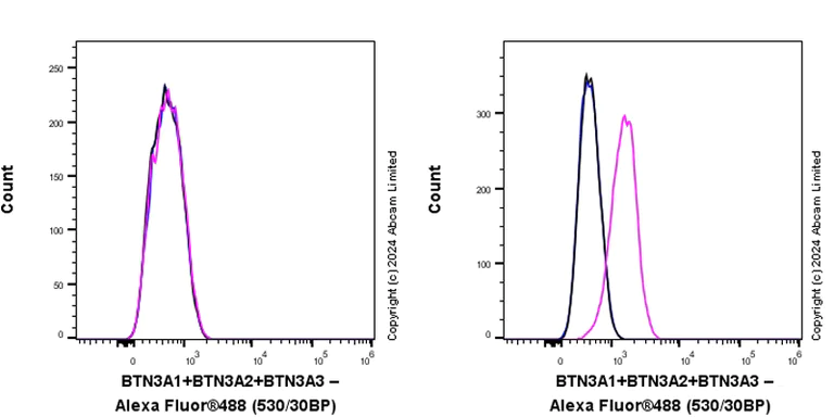 Flow Cytometry - Anti-BTN3A1 + BTN3A2 + BTN3A3 antibody [EPR28070-58] - BSA and Azide free (AB319102)