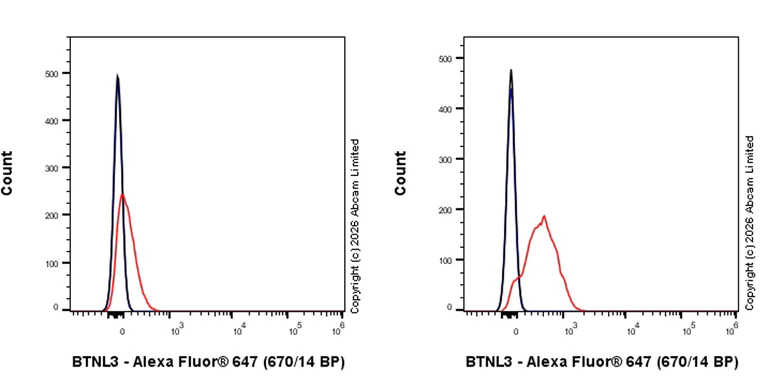 Flow Cytometry - Anti-BTNL3 antibody [EPR30749-690] (AB327704)