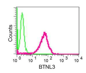 Flow Cytometry (Intracellular) - Anti-BTNL3 antibody [EPR8411(2)(B)] - BSA and Azide free (AB249978)