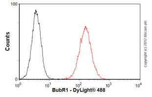 Flow Cytometry - Anti-BubR1 antibody [2G5] (AB54894)