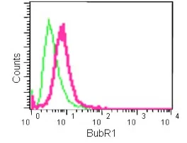 Flow Cytometry (Intracellular) - Anti-BubR1 antibody [EPR12259(2)] - BSA and Azide free (AB250655)