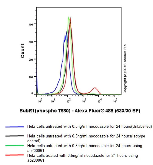 Flow Cytometry (Intracellular) - Anti-BubR1 (phospho T680) antibody [EPR19958] (AB200061)