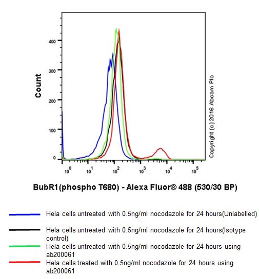 Flow Cytometry (Intracellular) - Anti-BubR1 (phospho T680) antibody [EPR19958] - BSA and Azide free (AB251297)