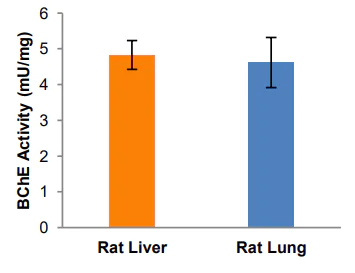 Functional Studies - Butyrylcholinesterase Assay Kit (AB241010)