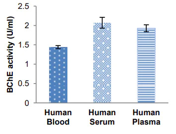 Functional Studies - Butyrylcholinesterase Assay Kit (AB241010)