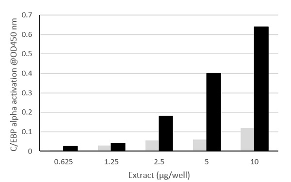Functional Studies - C/EBP alpha/beta Transcription Factor Assay Kit (Colorimetric) (AB207199)