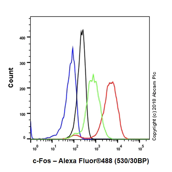 Flow Cytometry (Intracellular) - Anti-c-Fos antibody [EPR21930-238] - BSA and Azide free (AB234964)