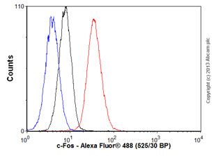 Flow Cytometry (Intracellular) - Anti-c-Fos antibody [EPR883(2)] - BSA and Azide free (AB218578)