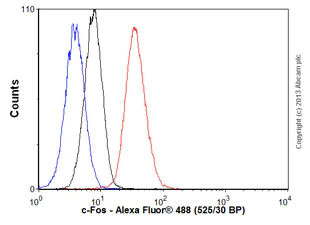 Flow Cytometry (Intracellular) - Anti-c-Fos antibody [EPR883(2)] - BSA and Azide free (AB218578)