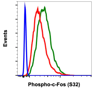 Flow Cytometry - Anti-c-Fos (phospho S32) antibody [cFosS32-BA9] (AB278642)