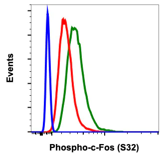 Flow Cytometry - Anti-c-Fos (phospho S32) antibody [cFosS32-BA9] (AB278642)