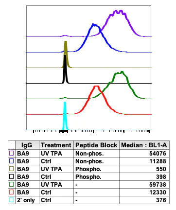 Flow Cytometry - Anti-c-Fos (phospho S32) antibody [cFosS32-BA9] (AB278642)