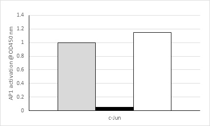 Functional Studies - c-Jun Transcription Factor Assay Kit (Colorimetric) (AB207195), expandable thumbnail