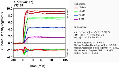 OI-RD Scanning - Anti-c-Kit antibody [YR145] - BSA and Azide free (AB216450)