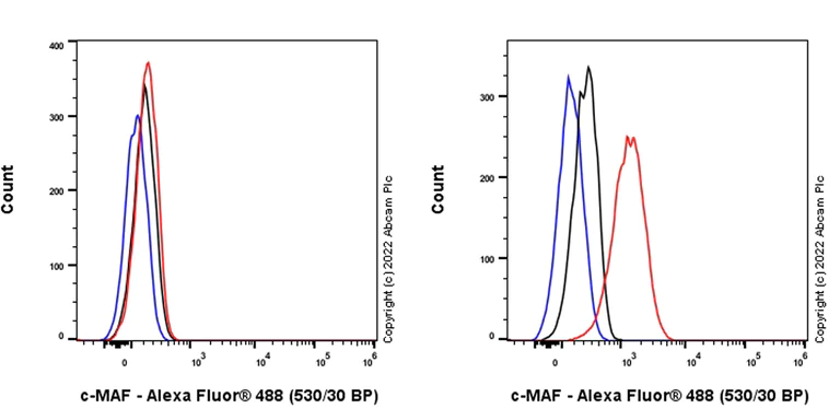 Flow Cytometry (Intracellular) - Anti-c-Maf antibody [EPR16484] - BSA and Azide free (AB219213)