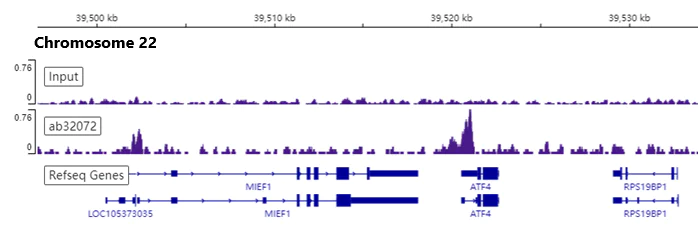 ChIP-sequencing - Anti-c-Myc antibody [Y69] - ChIP Grade (AB32072)