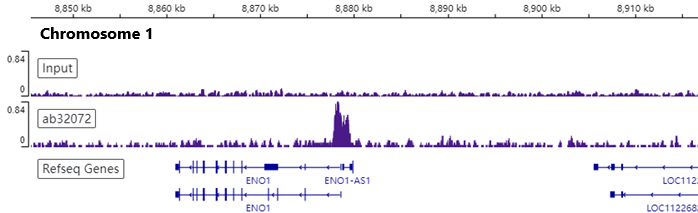 ChIP-sequencing - Anti-c-Myc antibody [Y69] - ChIP Grade - BSA and Azide free (ab168727), expandable thumbnail