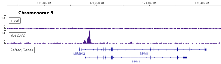 ChIP-sequencing - Anti-c-Myc antibody [Y69] - ChIP Grade - BSA and Azide free (ab168727), expandable thumbnail