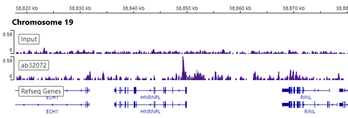 ChIP-sequencing - Anti-c-Myc antibody [Y69] - ChIP Grade - BSA and Azide free (ab168727), expandable thumbnail
