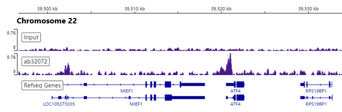 ChIP-sequencing - Anti-c-Myc antibody [Y69] - ChIP Grade - BSA and Azide free (ab168727), expandable thumbnail