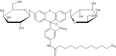 Chemical Structure - C12FDG (5-Dodecanoylaminofluorescein di-β-D-galactopyranoside) (AB273642), expandable thumbnail