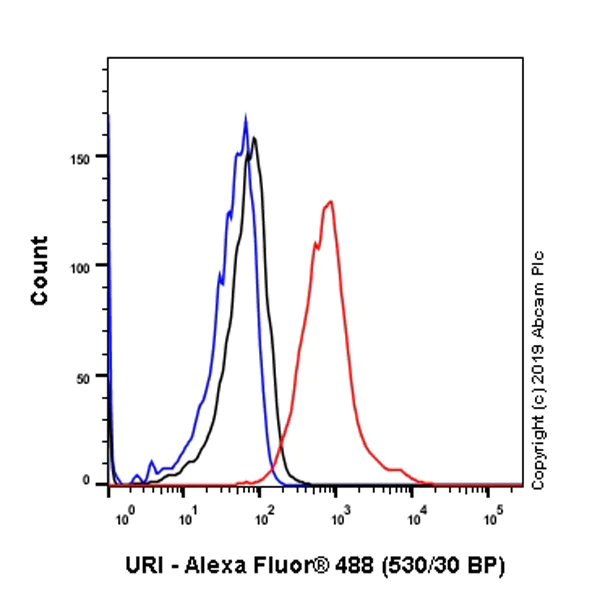 Flow Cytometry (Intracellular) - Anti-C19orf2 antibody [SP215] - BSA and Azide free (AB245758)
