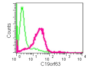 Flow Cytometry (Intracellular) - Anti-C19orf63 antibody [EPR13223] (AB181209)