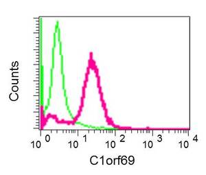 Flow Cytometry (Intracellular) - Anti-C1orf69/IBA57 antibody [EPR11758(2)] - BSA and Azide free (AB250166), expandable thumbnail
