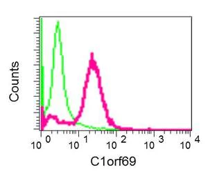 Flow Cytometry (Intracellular) - Anti-C1orf69/IBA57 antibody [EPR11758(2)] - BSA and Azide free (AB250166)