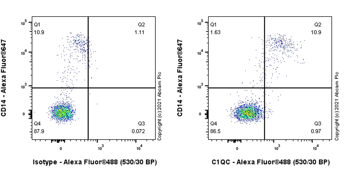 Flow Cytometry (Intracellular) - Anti-C1QC antibody [EPR2984Y] - BSA and Azide free (AB247391), expandable thumbnail