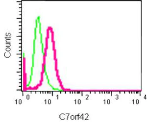 Flow Cytometry (Intracellular) - Anti-C7orf42 antibody [EPR15381] (AB185948)