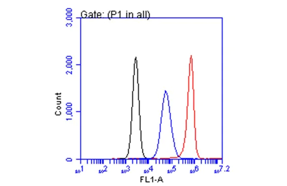 Flow Cytometry - Anti-CA19-9 antibody [GT933] (AB289665)