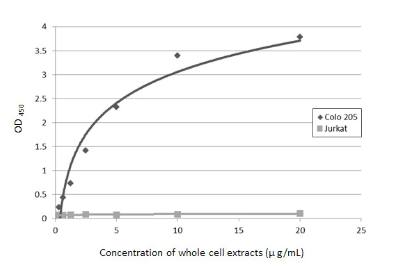 Sandwich ELISA - Anti-CA19-9 antibody [GT933] (AB289665)