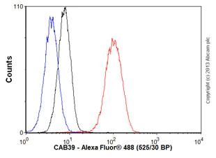 Flow Cytometry (Intracellular) - Anti-CAB39/MO25 antibody [EP1680Y] (AB51132)