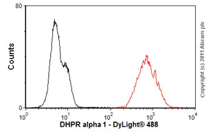 Flow Cytometry - Anti-CACNA1C antibody [S57] (AB84814)