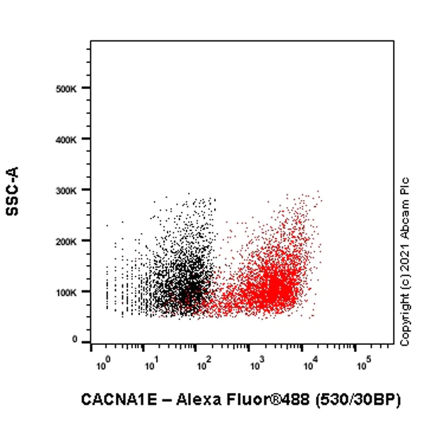 Flow Cytometry (Intracellular) - Anti-CACNA1E antibody [EPR25385-129] - BSA and Azide free (AB288772)