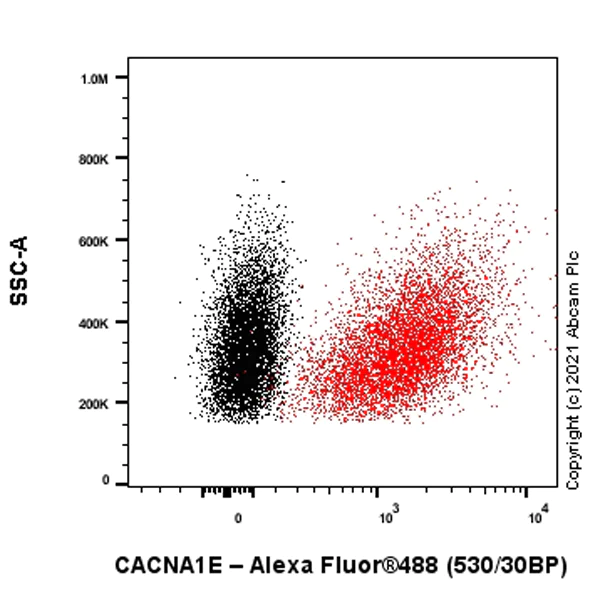 Flow Cytometry (Intracellular) - Anti-CACNA1E antibody [EPR25385-129] - BSA and Azide free (AB288772)