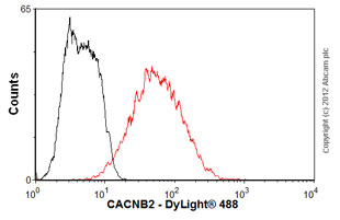 Flow Cytometry - Anti-CACNB2 antibody [N8B/1] (AB93606), expandable thumbnail