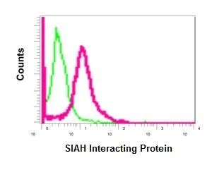 Flow Cytometry (Intracellular) - Anti-CacyBP antibody [EPR12374] - BSA and Azide free (AB249684)