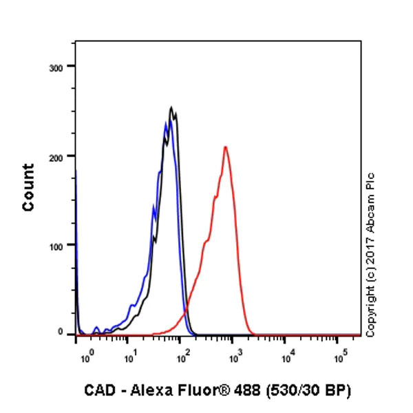 Flow Cytometry (Intracellular) - Anti-CAD antibody [EP710Y] - BSA and Azide free (AB231694)